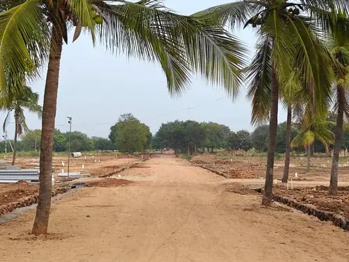 Regenerative Farm Landscapes, Karavulapalli, photograph 29