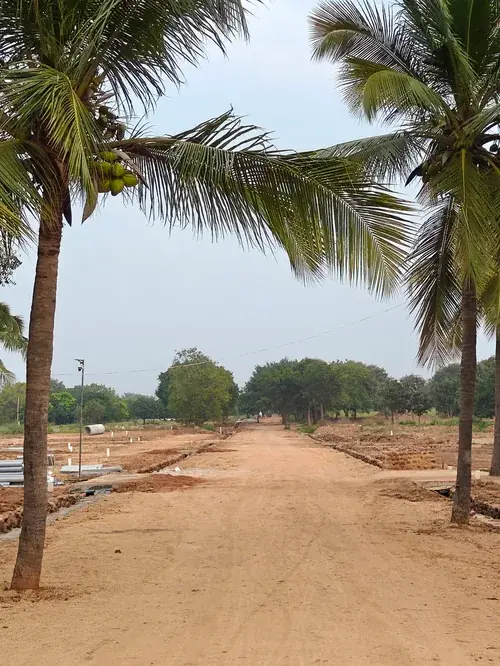 Regenerative Farm Landscapes, Karavulapalli, photograph 30