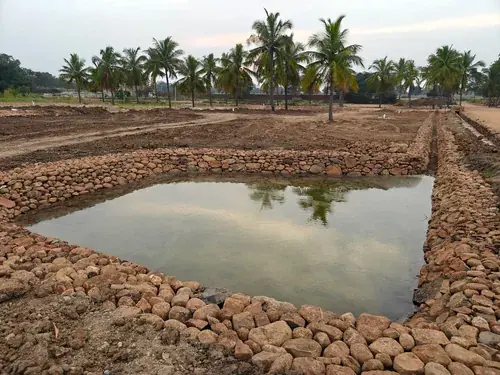 Regenerative Farm Landscapes, Karavulapalli, photograph 33