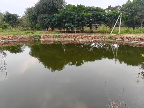 Regenerative Farm Landscapes, Karavulapalli, photograph 34