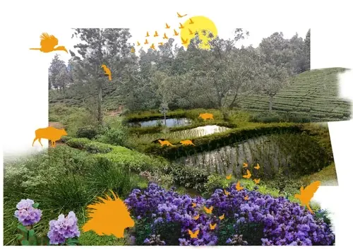 Proposed render for Non-Tea Riparian zones