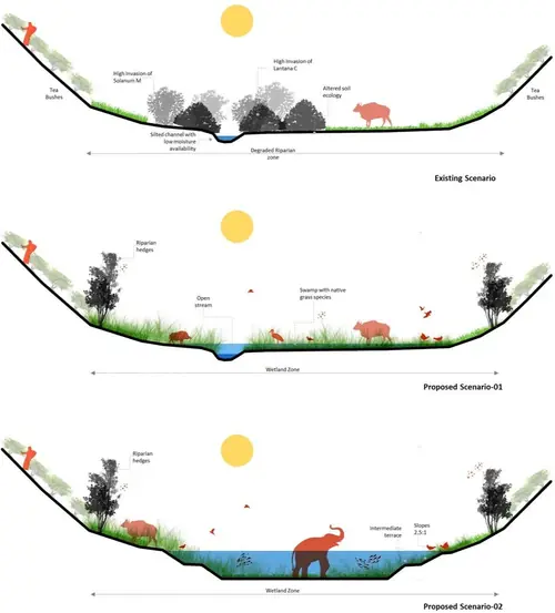 Existing and proposed section Non-Tea Riparian zones