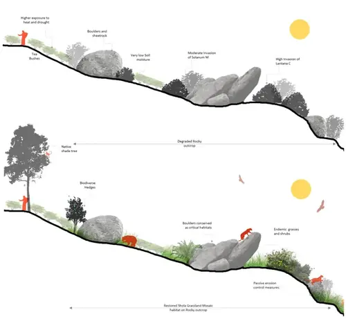 Existing and proposed section Non-Tea rocky outcrop zones