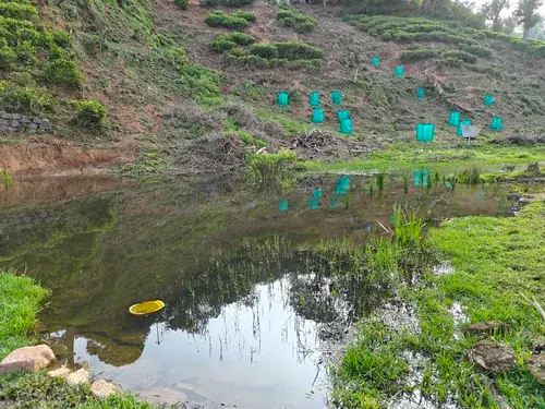 Development of hetrogeneous habitats in the Non-Tea areas