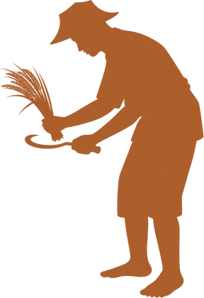 A farmer tending a plant